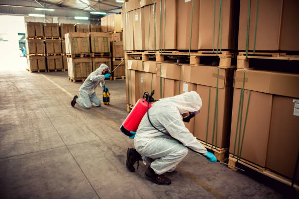 Best Flea Control Services  in New Castle, CO