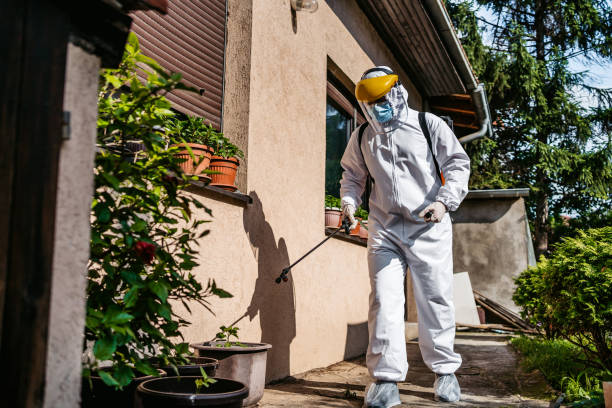 Best Cockroach Control Services  in New Castle, CO