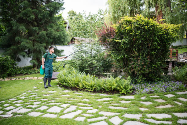 Best Pest Removal Services  in New Castle, CO