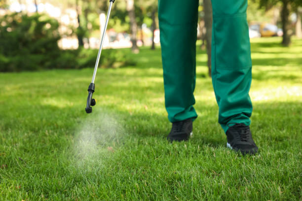 Best Pest Prevention Services  in New Castle, CO