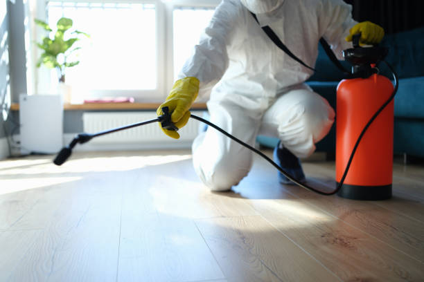 Pest Control for Restaurants in New Castle, CO