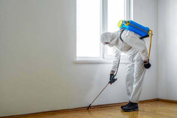 Best Best Pest Control Companies  in New Castle, CO