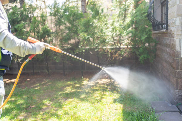 Best Pest Control Near Me in New Castle, CO