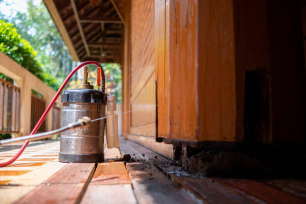 Best Wasp Removal Services  in New Castle, CO