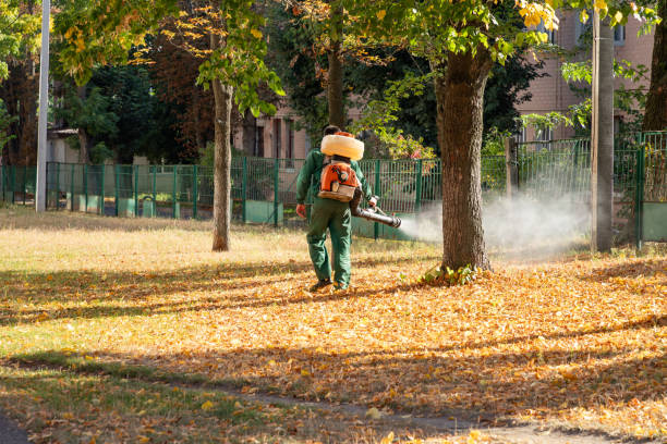 Professional Pest Control in New Castle, CO