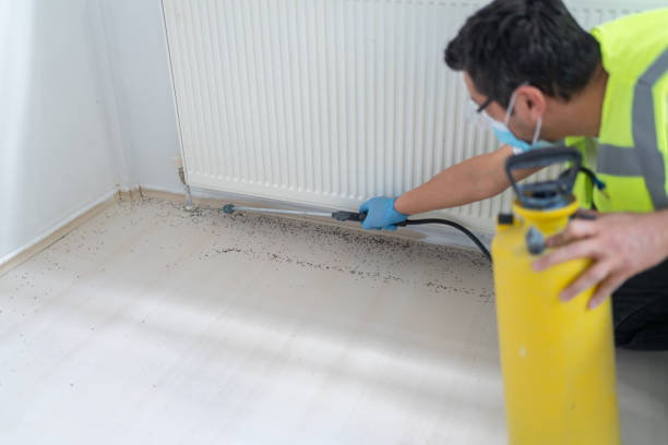 Best Affordable Pest Control Services  in New Castle, CO