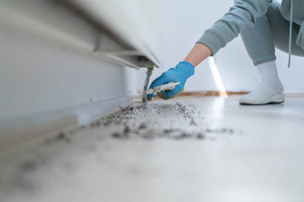 Best Best Pest Control Companies  in New Castle, CO