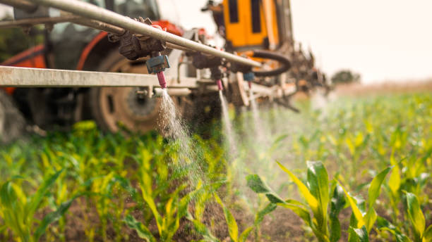 Best Commercial Pest Control Services  in New Castle, CO